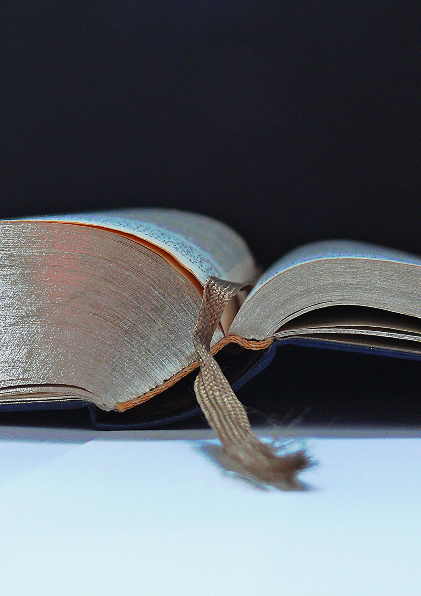 Untitled design (11)